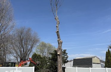 GNL Landscaping & Tree Services