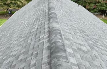 Limitless Roofing