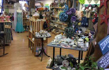 TM Shenanigans Thrift & Gift