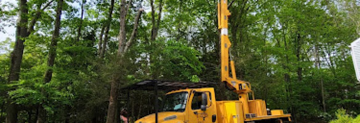 Letts Tree Service LLC