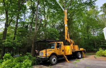 Letts Tree Service LLC