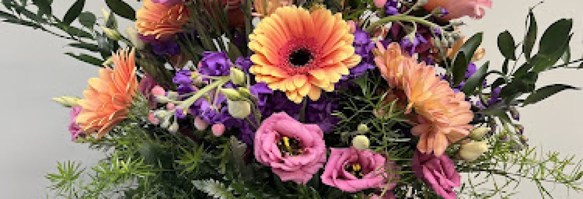 Riggio’s Garden Center