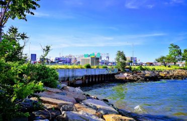 Long Wharf Park
