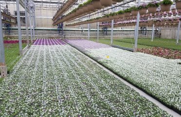 Geremia Farms