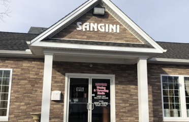 Sangini Waxing and Threading Studio