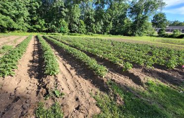 Hickory Wind Homestead, LLC