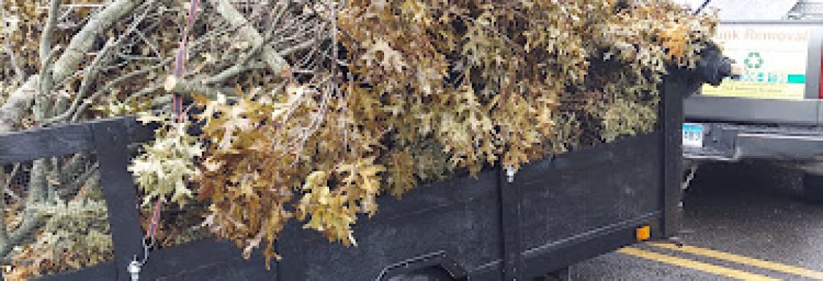 CLR Junk Removal Service