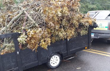 CLR Junk Removal Service