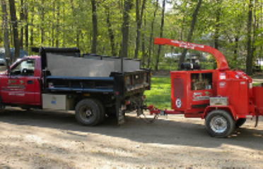 Excavation Plus II