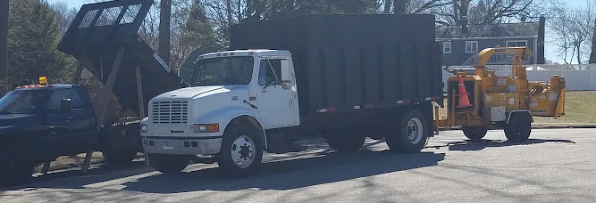 Tree Care of Connecticut