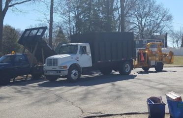 Tree Care of Connecticut