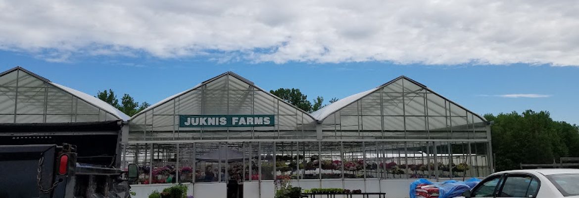 The Strawberry Farm