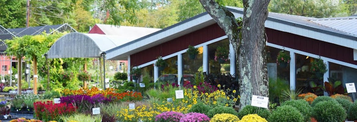 Salisbury Garden Center and Landscaping