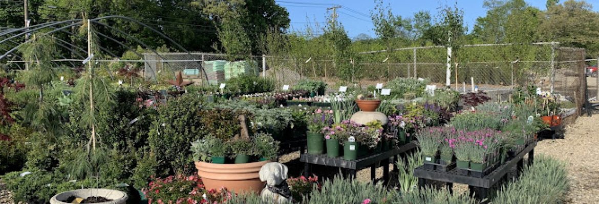 Rooster’s Landscape & Garden Supply Llc