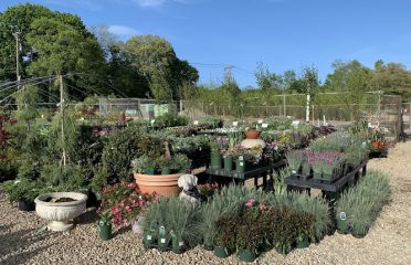Rooster’s Landscape & Garden Supply Llc