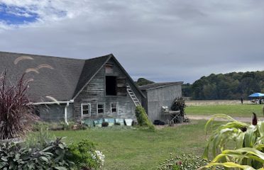 The Farm Truck at Hein Farm