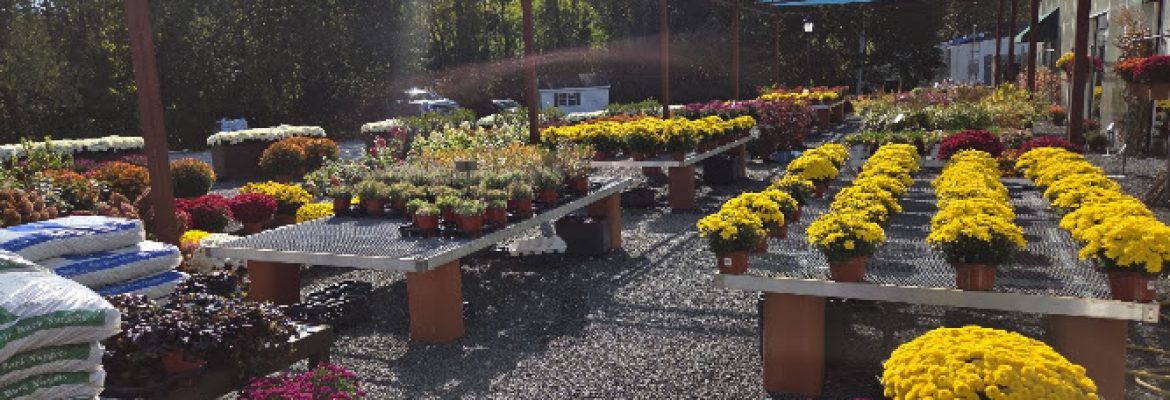 Brierwood Nurseries