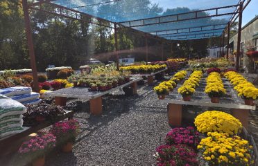 Brierwood Nurseries