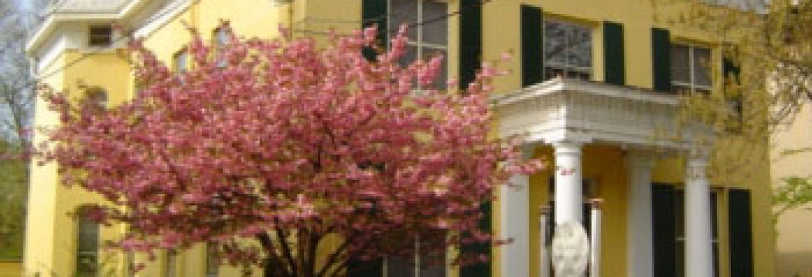 New Haven Historic Mansion