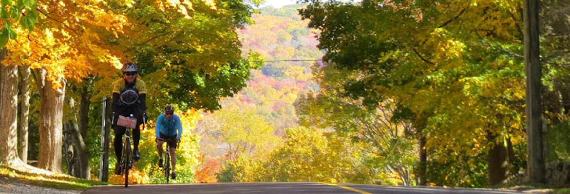 Bicycle Tour Company