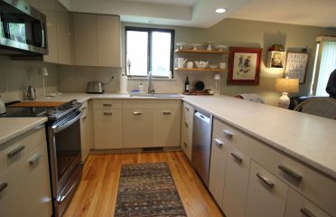 European Custom Cabinets & the Kitchen ReStore
