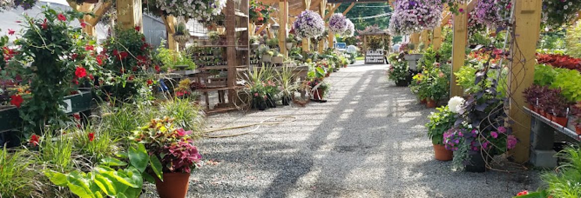 Shakespeare’s Garden