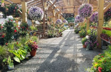Shakespeare’s Garden