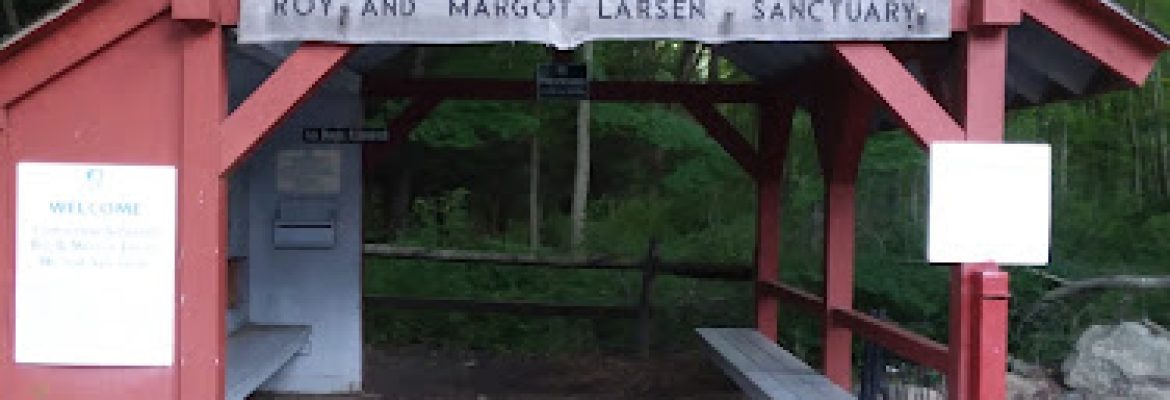 Connecticut Audubon Society