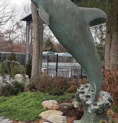 Aquarium Gift Store