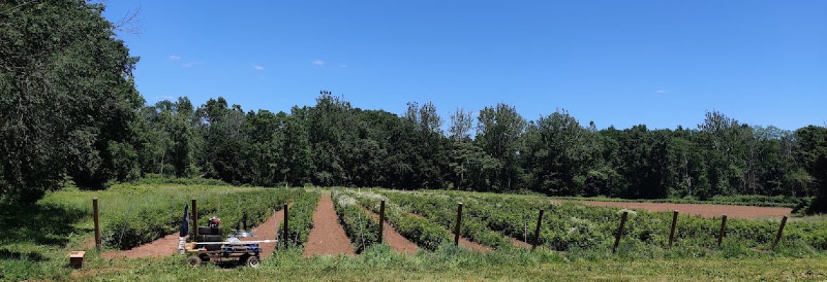 Newgate Farms
