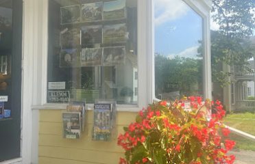 Real Estate Agent- Sindy Butkus