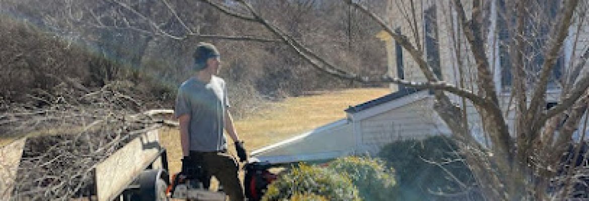 Blue Spruce Tree Service and Landscaping