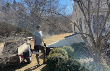 Blue Spruce Tree Service and Landscaping