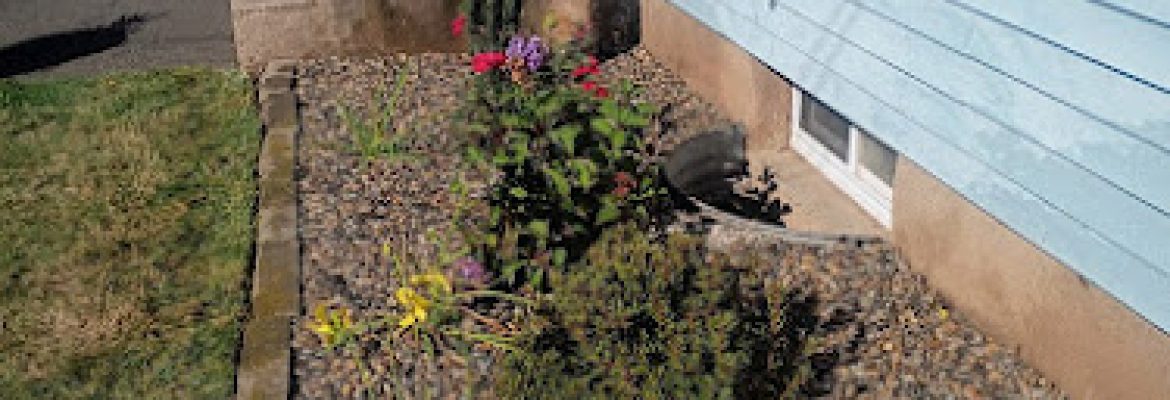 Turf Master Landscapes, LLC