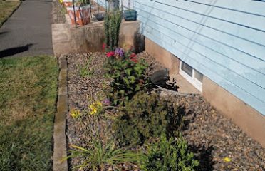 Turf Master Landscapes, LLC