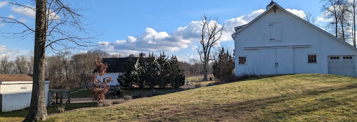 Tree House Farm Brewery