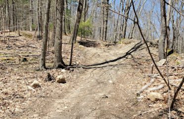 Horace Clark Woods