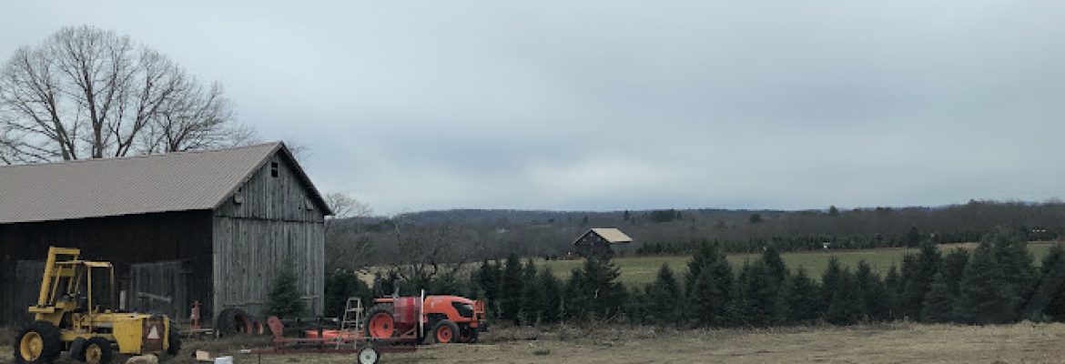 Breezy View Farm