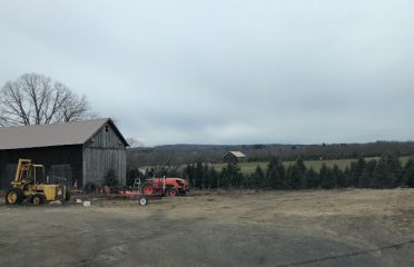 Breezy View Farm