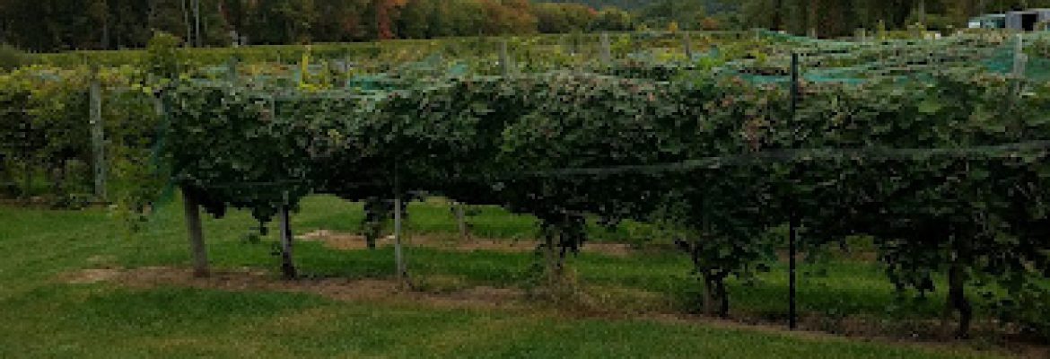 Priam Vineyards a Winiarski Family Vineyard