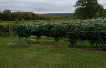 Priam Vineyards a Winiarski Family Vineyard