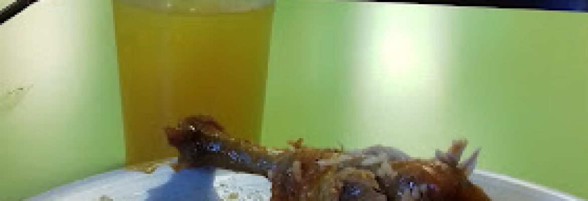 La Costeńita deli restaurant llC