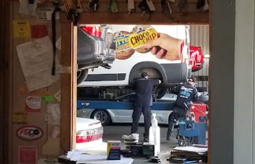 Williamson George Auto Electric Inc