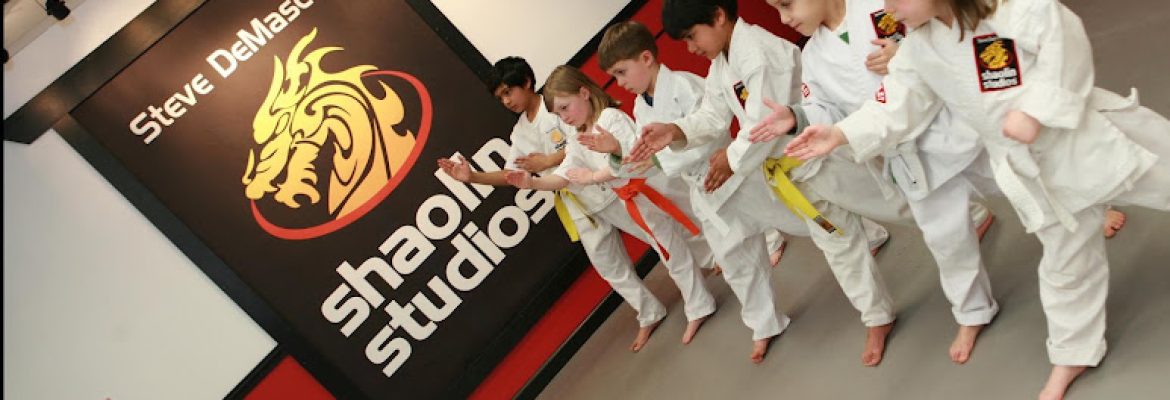 SDSS Martial Arts of Darien