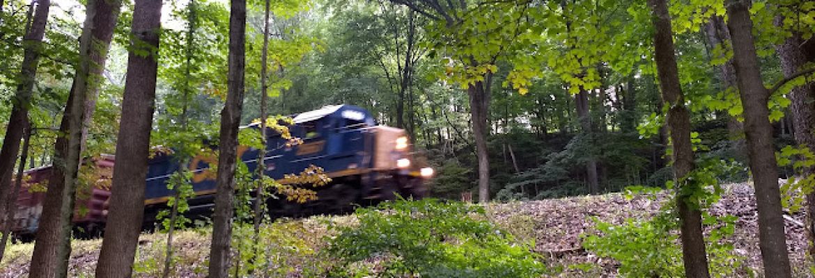 New Milford River Trail