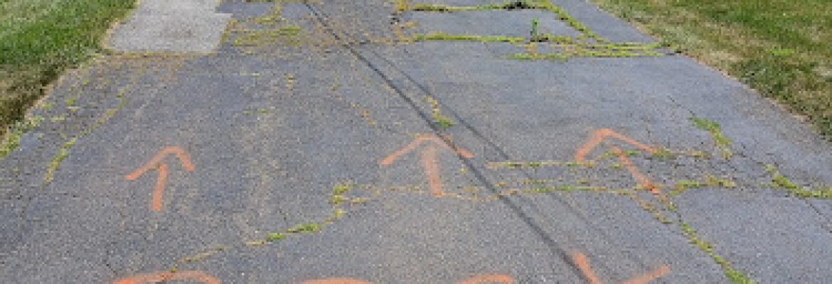 RockSolid Paving & Masonry