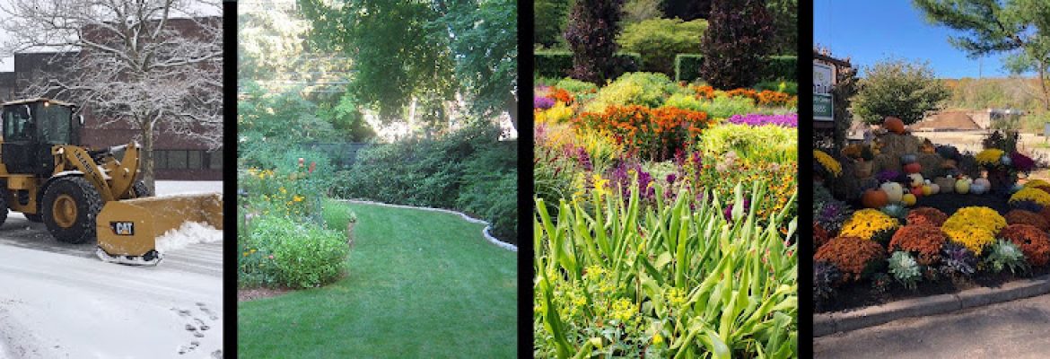Donnellan & Sons Landscaping