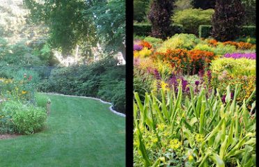 Donnellan & Sons Landscaping