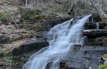 Falls Brook Falls