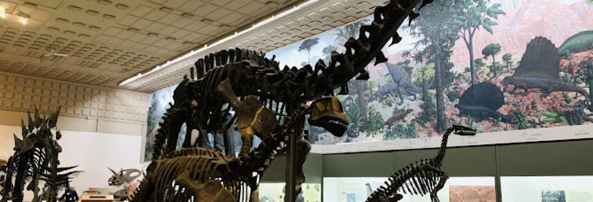 Yale Peabody Museum